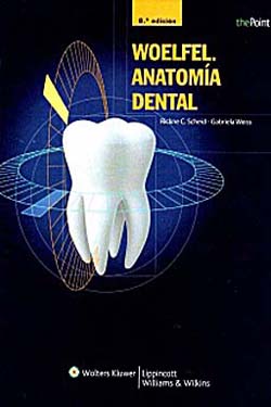 Woelfel Anatomía Dental