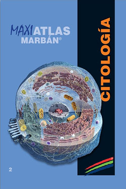 MAXIATLAS Marbán 2 Citología