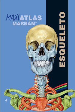 MAXIATLAS Marbán 4 Esqueleto