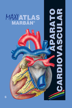 MAXIATLAS Marbán 6 Aparato Cardiovascular
