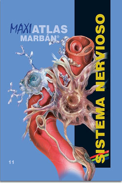 MAXIATLAS Marbán 11 Sistema Nervioso
