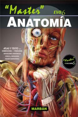 Master EVO6 Anatomía