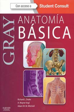 Gray Anatomía Básica