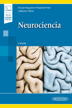 Neurociencia + Ebook