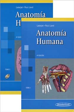 Anatomía Humana 2 Ts.