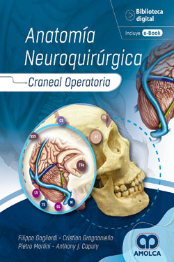 Anatoma Neuroquirrgica
