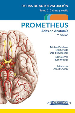 PROMETHEUS Atlas de Anatomía Fichas de Autoevaluación T 3