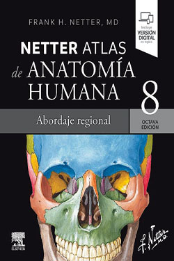 NETTER Atlas de Anatomía Humana