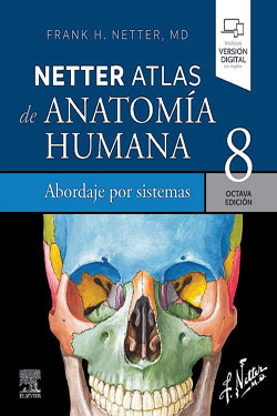 NETTER Atlas de Anatomía Humana