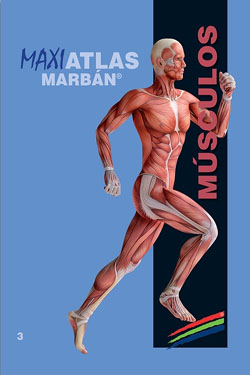 MAXIATLAS Marbán 3 Músculos