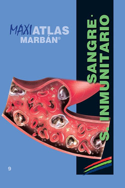 MAXIATLAS Marbán 9 Sangre - Sistema Inmunitario