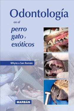 Odontología en el Perro Gato y Exóticos