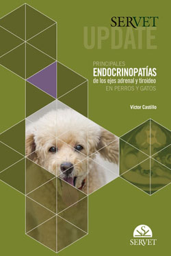 Principales Endocrinopatías de los Ejes Adrenal y Tiroideos en Perros y Gatos