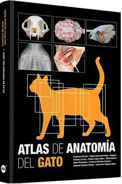 Atlas de Anatomía del Gato