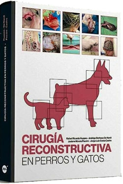 Cirugía Reconstructiva en Perros y Gatos