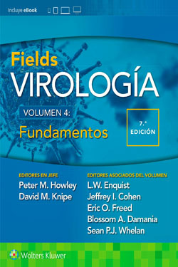 FIELDS Virología Vl 4 Fundamentos