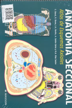 Anatomía Seccional