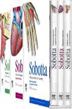 Sobotta Atlas de Anatomía Humana 3 Vls.