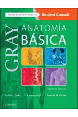 Gray Anatomía Básica