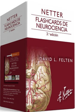 Netter Flashcards de Neurociencia