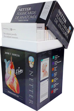 Netter Flashcards de Anatomía